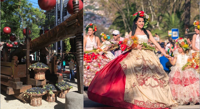 Governo Regional realiza festas da Flor e do Vinho da Madeira em setembro