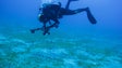 Imagem de Observatório Oceânico da Madeira capta 4,5 milhões de euros para a investigação