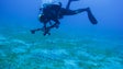 Observatório Oceânico da Madeira capta 4,5 milhões de euros para a investigação