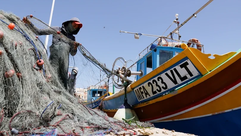 Imagem de Ministra defende setor das Pescas sustentável que permita aumento de capturas