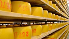 Imagem de Inflação pode fazer baixar vendas de queijo de São Jorge (Vídeo)