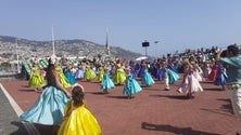 Imagem de Grupos da Festa da Flor animam Funchal
