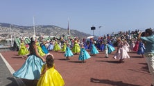 Grupos da Festa da Flor animam Funchal