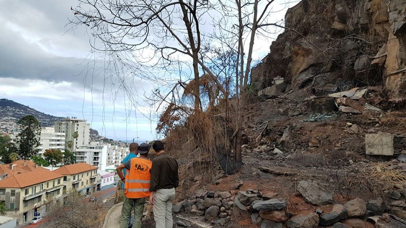 Funchal investe 1 milhão para garantir escarpas seguras