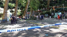 Imagem de Retomada fase de instrução do caso da queda de árvore no Funchal