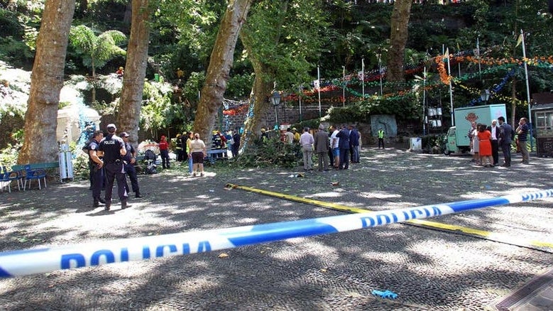 Retomada fase de instrução do caso da queda de árvore no Funchal
