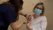 Imagem de 99% do pessoal docente e não docente vacinado no Continente