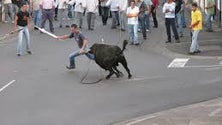 Touradas arrastam multidões na ilha Terceira