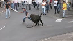 Imagem de Touradas arrastam multidões na ilha Terceira