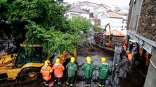 Imagem de Mau tempo: Registadas 784 ocorrências em Portugal continental