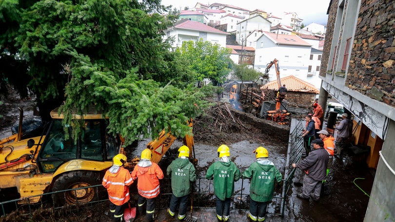 Mau tempo: Registadas 784 ocorrências em Portugal continental