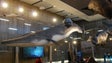 Museu da Baleia vai usar drones para captar sopros dos animais