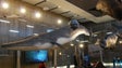 Imagem de Museu da Baleia vai usar drones para captar sopros dos animais