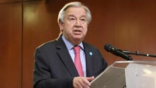 Imagem de Guterres pede ação urgente para reverter destruição da natureza