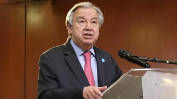 Guterres pede ação urgente para reverter destruição da natureza