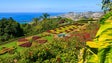 Imagem de Este pode ser o melhor ano de sempre para turismo na Madeira