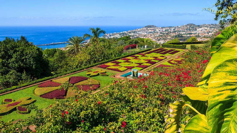 Imagem de Este pode ser o melhor ano de sempre para turismo na Madeira