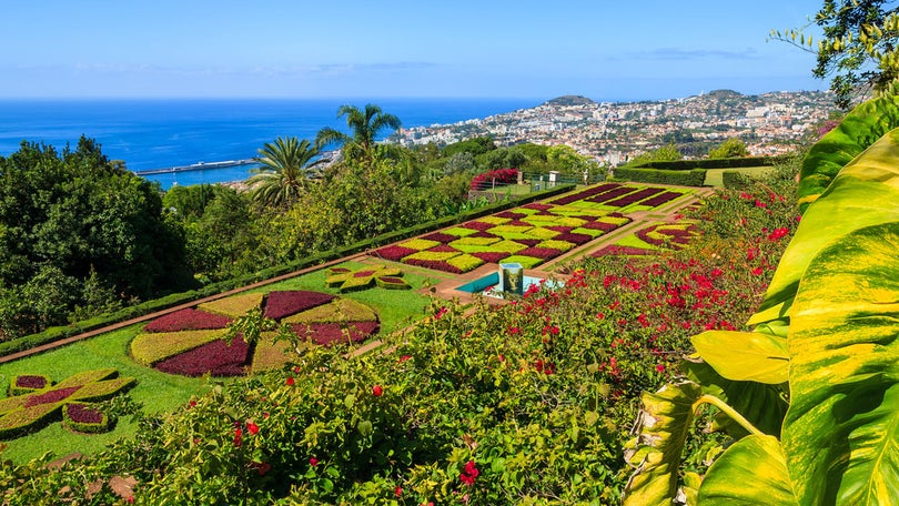 Este pode ser o melhor ano de sempre para turismo na Madeira