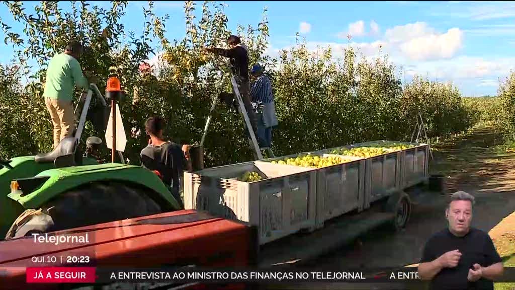 Produtores pedem apoios urgentes para enfrentar prejuízos deixados pelo Kirk