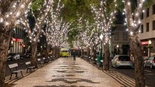 Imagem de PS-M acusa Governo Regional de falta de «planeamento» nas festas