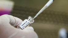 Imagem de Covid-19: Vacina da Universidade de Oxford testada em humanos com resultados promissores