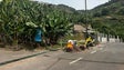 Imagem de Ponta do Sol e Ribeira Brava ainda estão sem água (vídeo)