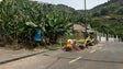 Ponta do Sol e Ribeira Brava ainda estão sem água (vídeo)