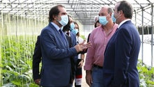 Imagem de Covid-19: Governo admite que existem bares fora do Funchal que não estão a cumprir as regras (Vídeo)