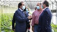 Imagem de Covid-19: Governo admite que existem bares fora do Funchal que não estão a cumprir as regras (Vídeo)