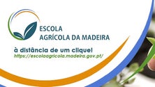 Imagem de Escola Agrícola da Madeira já tem página oficial na internet (Áudio)