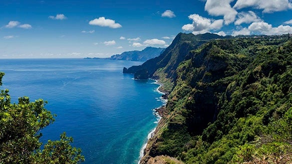 Imagem de Madeira eleita pela sétima vez «melhor destino insular do Mundo»