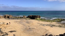 Imagem de Sensores de temperaturas em praias da Região (áudio)