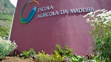 Imagem de Escola Agrícola disponibiliza novas formações