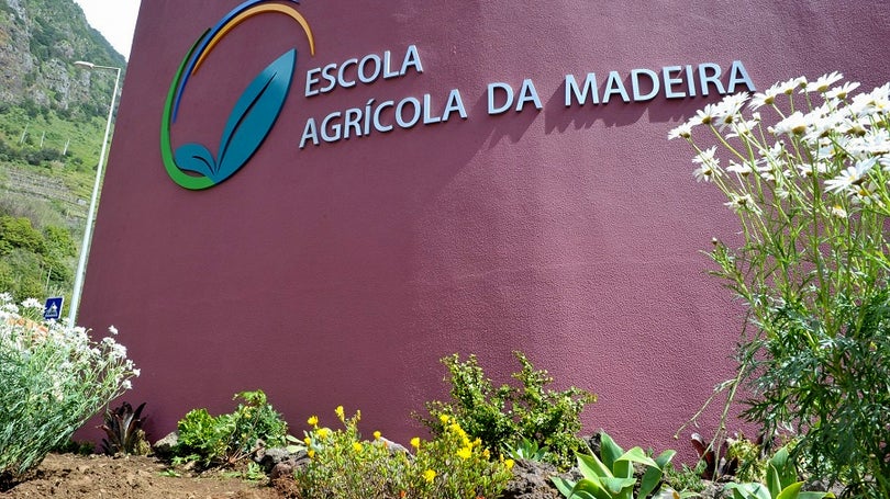 Imagem de Escola Agrícola disponibiliza novas formações