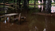 Imagem de Quinta da Junta vira «lago» após passagem da depressão «Óscar» (vídeo)