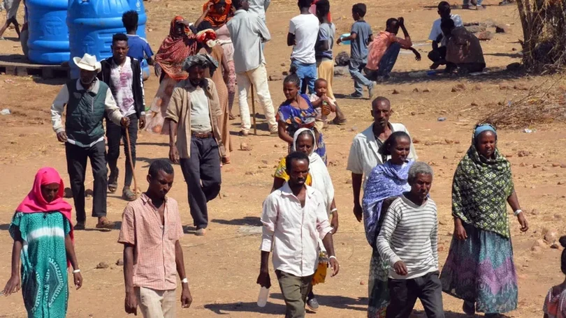 Imagem de Rebeldes propõem trégua humanitária para distribuição de ajuda alimentar