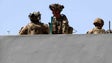 Afeganistão: Confirmadas quatro mortes de norte-americanos