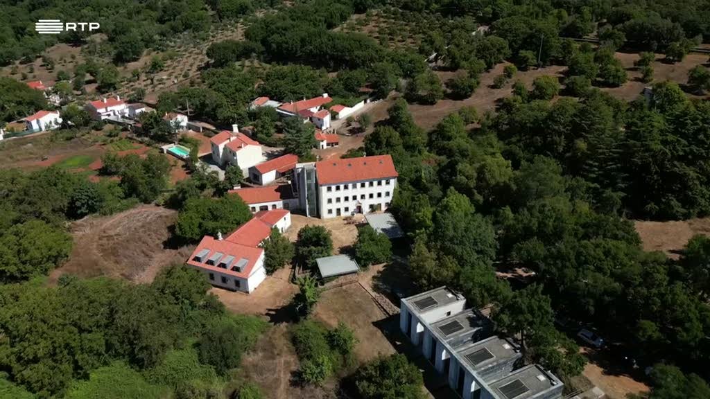 Escola de Verão da Agência Erasmus promove debate sobre a sustentabilidade