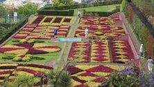 Imagem de Covid-19: Associação de Promoção da Madeira vai lançar uma aplicação dedicada a jardins (Áudio)