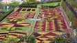 Imagem de Covid-19: Associação de Promoção da Madeira vai lançar uma aplicação dedicada a jardins (Áudio)