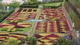 Covid-19: Associação de Promoção da Madeira vai lançar uma aplicação dedicada a jardins (Áudio)