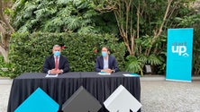 Imagem de «Digital Nomads» está atrair trabalhadores para a Madeira (vídeo)