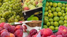 Imagem de Vendedores ambulantes reconhecem que é cada vez mais difícil ter fruta regional (vídeo)