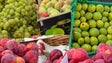 Vendedores ambulantes reconhecem que é cada vez mais difícil ter fruta regional (vídeo)