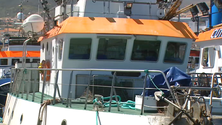 Imagem de Madeira pesca atum no mar dos Açores (Vídeo)