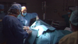 Dois doentes fizeram transplante de rim  (vídeo)