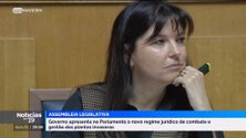 Imagem de Prada defende controlo das plantas invasoras e oposição considera que essa batalha foi perdida (vídeo)