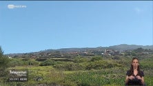 Obras do campo de golfe da Ponta do Pargo retomadas (vídeo)