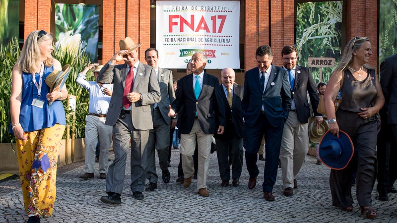 Imagem de Presença da Madeira na Feira Nacional de Agricultura com saldo positivo