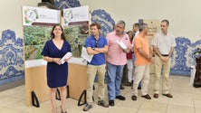 Imagem de 19ª Edição do concurso “Funchal – Cidade Florida”